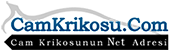 Cam Krikosu